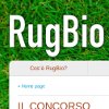 rugbio100
